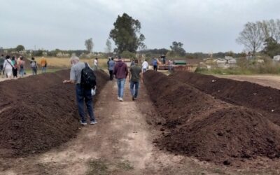 COMPOSTAJE: presentación del ensayo de tratamiento de lodos industriales orgánicos 